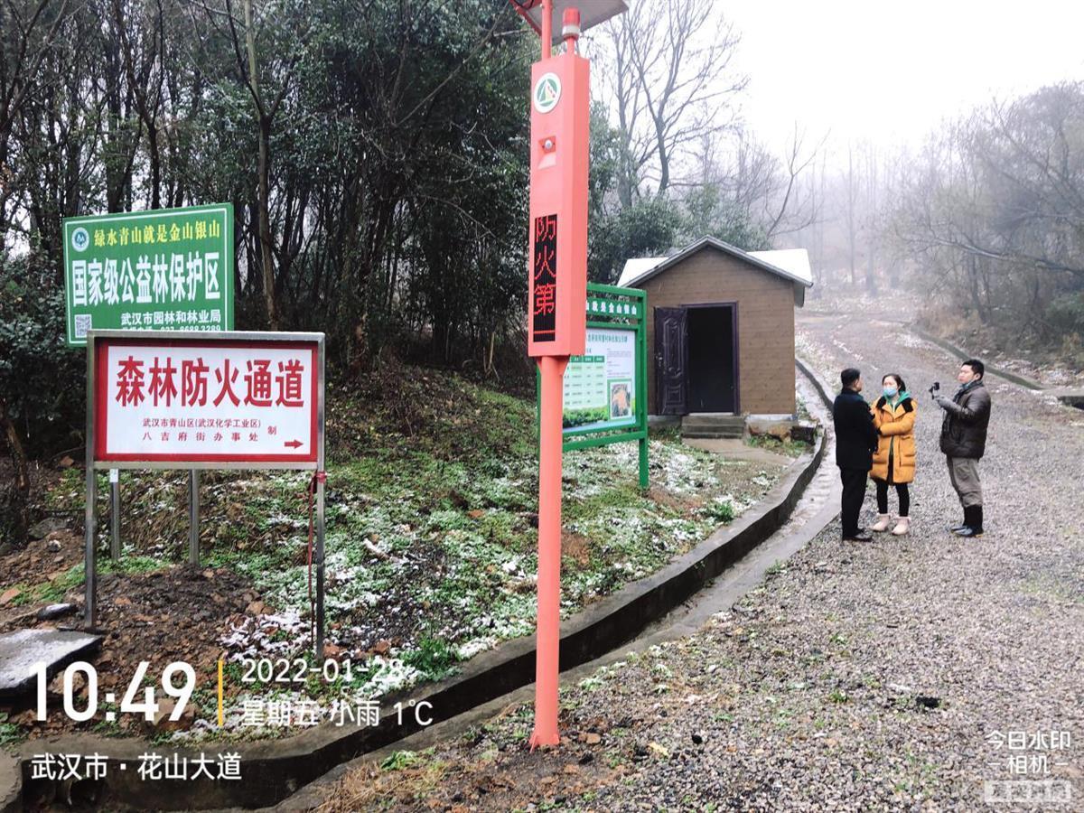 武漢織密森林“防火網(wǎng)”！千余護(hù)林員每日巡查 智能攝像頭監(jiān)控90萬(wàn)畝生態(tài)林