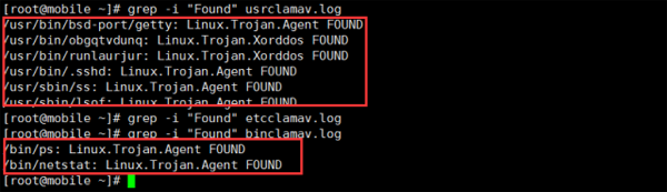 運維服務管理體系建設方案_運維服務服務器網絡設備日常巡檢報告_服務器運維