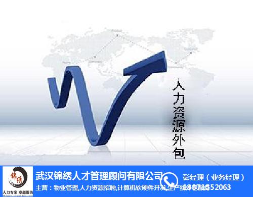 it外包市場(chǎng)分析及營(yíng)銷模式探討_it外包維護(hù)方案_it技術(shù)外包