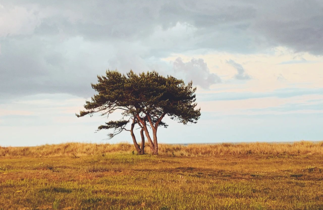 it服務(wù)_it服務(wù)目錄_it服務(wù)合同范本