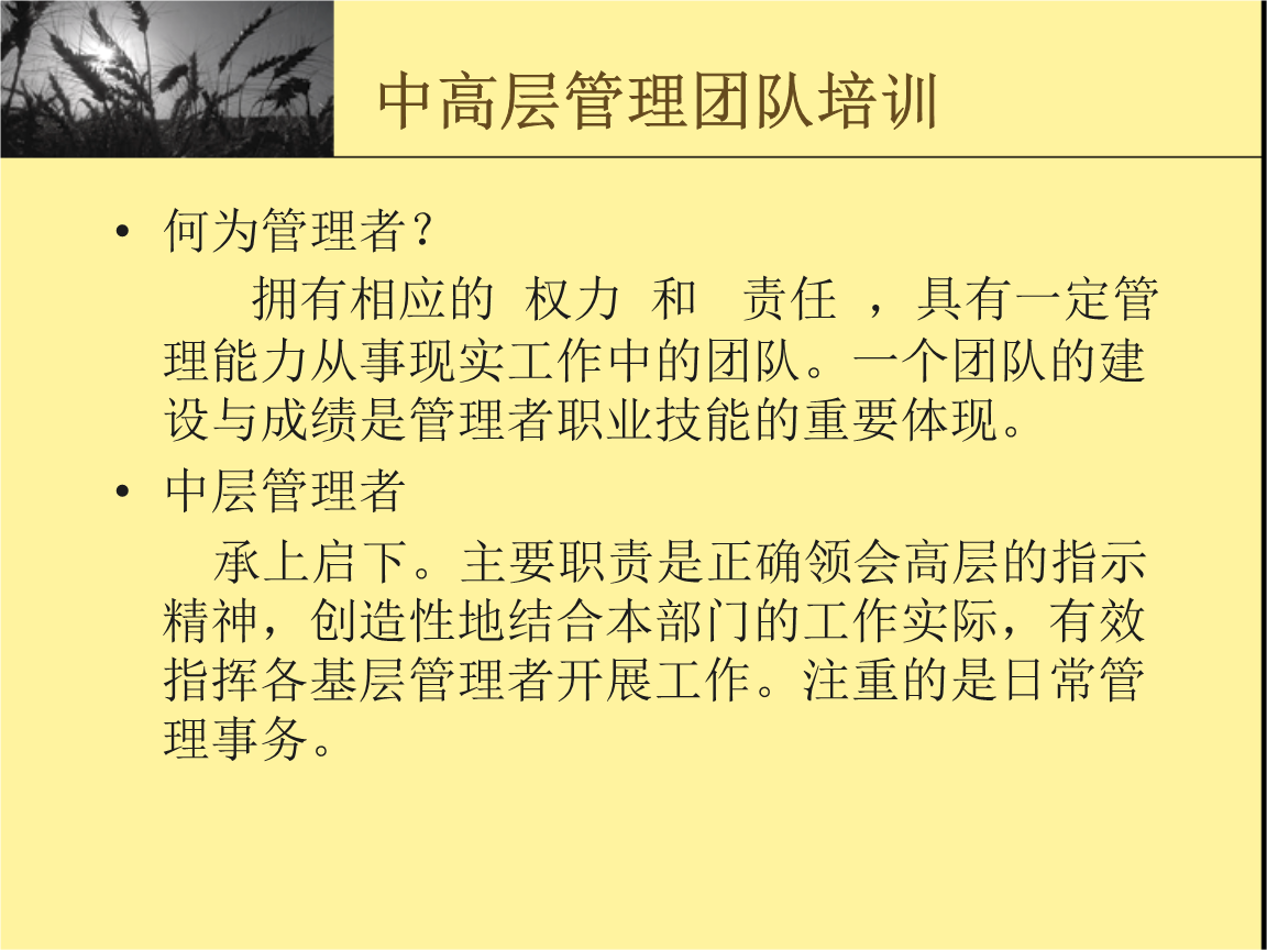 it技能包括哪些_it技能_it技能 project management